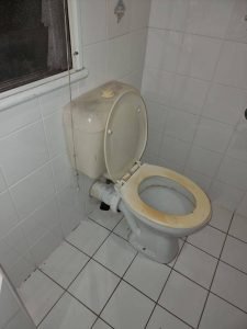 bundaberg renovations toilet before